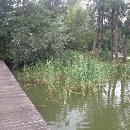 Lake Park Berlare Dış mekan fotoğraf